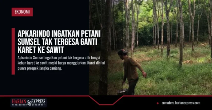 Apkarindo Ingatkan Petani Sumsel Tak Tergesa Ganti Karet ke Sawit