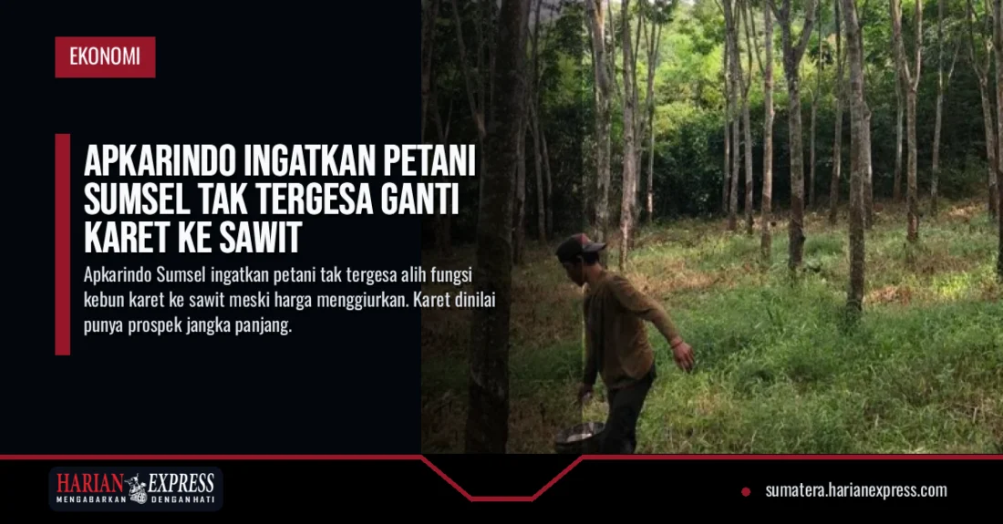Apkarindo Ingatkan Petani Sumsel Tak Tergesa Ganti Karet ke Sawit