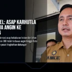 BPBD Sumsel: Asap Karhutla OKI Terbawa Angin ke Palembang