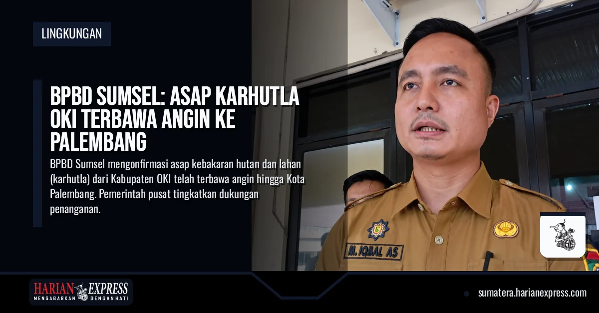 BPBD Sumsel: Asap Karhutla OKI Terbawa Angin ke Palembang