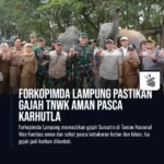 gajah-tnwk-aman-pasca-karhutla