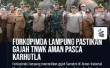 Forkopimda Lampung Pastikan Gajah TNWK Aman Pasca Karhutla