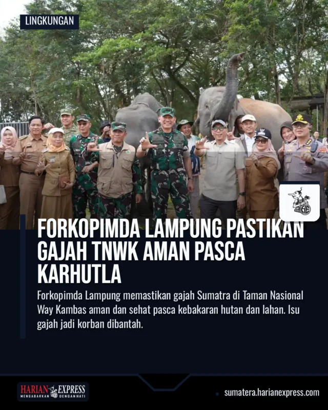 Forkopimda Lampung Pastikan Gajah TNWK Aman Pasca Karhutla