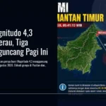 Gempa Beruntun Guncang Berau, Pacitan, dan Merangin Pagi Ini
