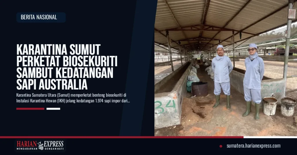 Karantina Sumut Perketat Biosekuriti Sambut Kedatangan Sapi Australia