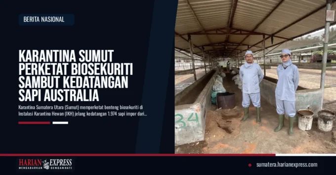Karantina Sumut Perketat Biosekuriti Sambut Kedatangan Sapi Australia