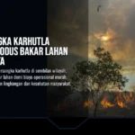 72 Tersangka Karhutla Dibekuk, Modus Bakar Lahan Hemat Biaya
