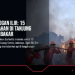 Karhutla Ogan Ilir: 15 Hektare Lahan di Tanjung Seteko Terbakar