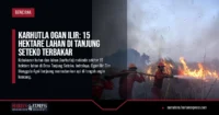 Karhutla Ogan Ilir: 15 Hektare Lahan di Tanjung Seteko Terbakar