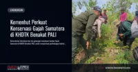 Kemenhut Perkuat Konservasi Gajah Sumatera di KHDTK Benakat PALI