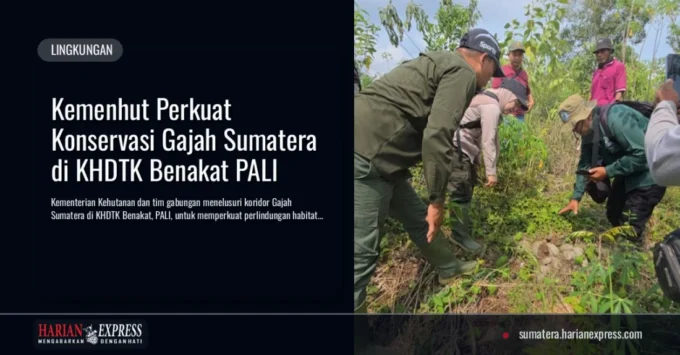 Kemenhut Perkuat Konservasi Gajah Sumatera di KHDTK Benakat PALI