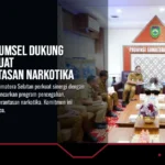 Pemprov Sumsel Dukung BNNP Perkuat Pemberantasan Narkotika