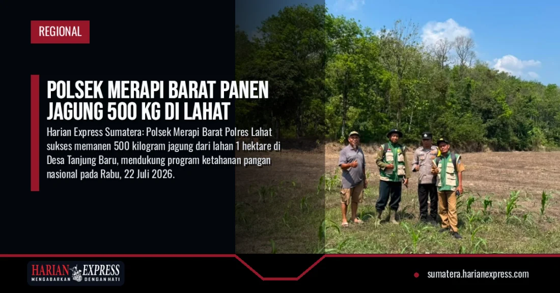 Polsek Merapi Barat Panen Jagung 500 Kg di Lahat