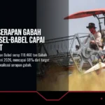 Realisasi Serapan Gabah Bulog Sumsel-Babel Capai 68% Target