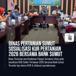 Dinas Pertanian Sumut Sosialisasi KUR Pertanian 2026 Bersama Bank Sumut
